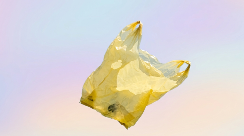 teoria pungii de plastic